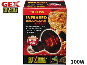 yXܓIPő20{11/1(y)zGEX q[gO[ ԊOƎ˃X|bg v 100W PT2144 ঒ ޗpi ঒ޗpi WFbNX EXO TERRA