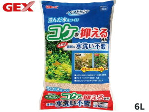 y11/11 1:59܂ŁGg[+wP5{zGEX xXgTh 6L Mы Ϗ܋pi pi  WFbNX