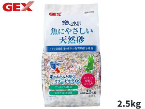 y11/11 1:59܂ŁGg[+wP5{zGEX i ɂ₳VR 2.5kg Mы Ϗ܋pi pi  WFbNX