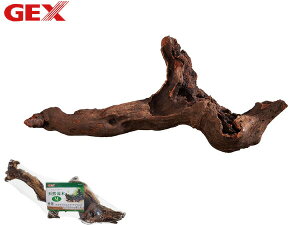 y11/11 1:59܂ŁGg[+wP5{zGEX VR M Mы Ϗ܋pi pi ANZT[ WFbNX