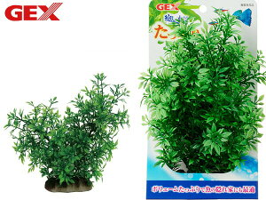 yXܓIPő20{11/1(y)zGEX i Ղ ^ Mы Ϗ܋pi pi ANZT[ WFbNX