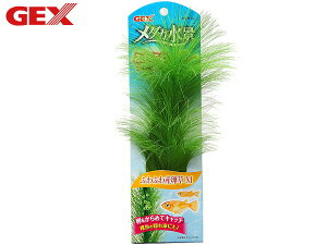 yXܓIPő20{11/1(y)zGEX _Ji ӂӂY M Mы Ϗ܋pi pi ANZT[ WFbNX