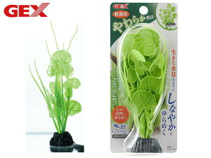 yXܓIPő20{11/1(y)zGEX i sAvc `hOT Mы Ϗ܋pi pi ANZT[ WFbNX