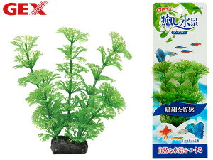 yXܓIPő20{11/1(y)zGEX i AuA S Mы Ϗ܋pi pi ANZT[ WFbNX