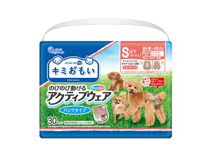 L~ ANeBuEFA SSS-S 30 {ŗB̃pc^CvĽ^łtBbg GG[