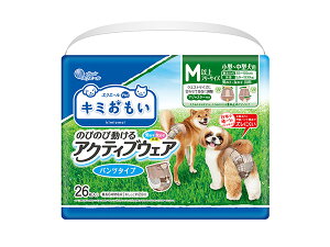 L~ ANeBuEFA M-L 26 {ŗB̃pc^CvĽ^łtBbg GG[