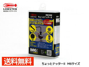 uebNX ƃib^[2 M6×1.0 Gribg ibg` M6TCY HNC26M [ 