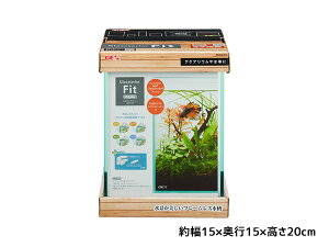 yő2000~OFFN[|`12/6(y)9:59܂ŁzOXeA tBbg 150 plus it[X Ϗ܋pi  KX GEX