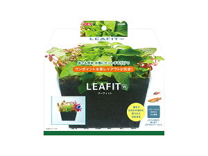 yXܓIPő20{11/1(y)z[tBbg W NłȒPɃZbg邾 Ϗ܋pi pi pi GEX