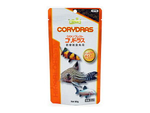 ЂNXg RhX 80g {^^ŐH׈ՂRhXpI Ϗ܋p Mыp Mыp t[h Hikari