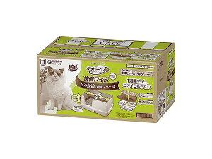 yXܓIPő20{11/1(y)zfIgC KCh{̃Zbg i`AC{[ jIȂLC LpgC 