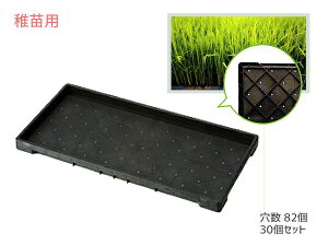 yXܓIPő20{11/1(y)ztcp c p 82 60×30×3.7cm 30Zbg  ubN ACJ aika s zsnL @l̂ݔz 