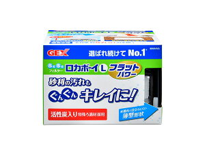 y11/11 1:59܂ŁGg[+wP5{zGEX J{[CL tbgp[ Ϗ܋pi pi tB^[|v̉񂮂LC