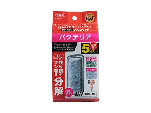 yXܓIPő20{11/1(y)zGEX oNeAX}bg 5 Ϗ܋pi pi Y߃oNeAcat𕪉