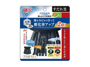 y11/11 1:59܂ŁGg[+wP5{zGEX _JC ̂Y  Ϗ܋pi pi@ۂJrY