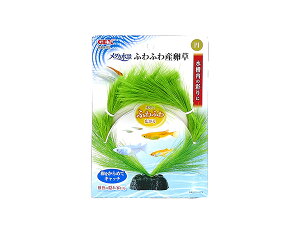 y|Cgup12/1zGEX _Ji ӂӂY ~ Ϗ܋pi pi̍ʂ