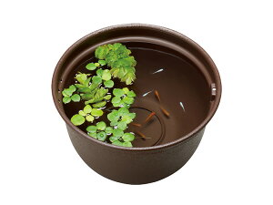 yő2000~OFFN[|`12/6(y)9:59܂ŁzGEX _JC _Ĵ߂̎甫  320 Ϗ܋pi  ȈՒr _J Ϗ܂ł