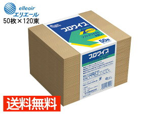 GG[ vCv EGX \tg^t ^I 50 120 703356 ܂Ƃߔ 380mm×280mm 剤 @l̂ݔz 