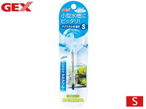 yXܓIPő20{11/1(y)zGEX NX^v S ANAu[ ^Ƀsb^  ڗȂ Ϗ܋pi