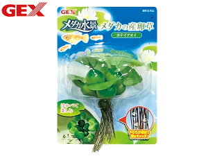 yXܓIPő20{11/1(y)zGEX _Ji _J̎Y zeCAIC ɕׂĊy߂lHANZT[ 炩f Ϗ܋pi