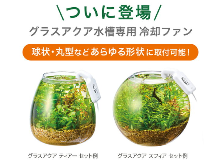 楽天市場】【マラソン期間中、エントリーP5倍♪】GEX ボトルクール 