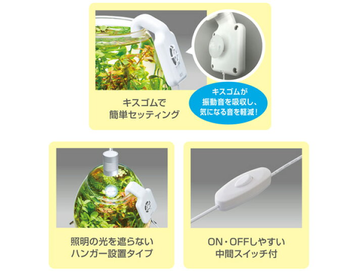 楽天市場】【マラソン期間中、エントリーP5倍♪】GEX ボトルクール 