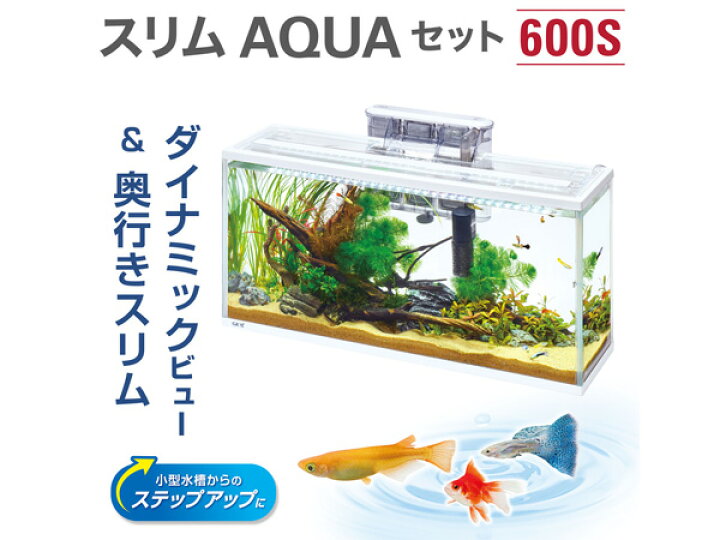 楽天市場】GEX スリムアクアセット 600スリム 約幅60×奥行17×高さ29cm 