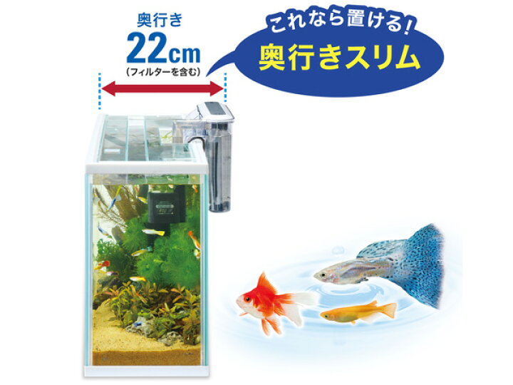 楽天市場】GEX スリムアクアセット 600スリム 約幅60×奥行17×高さ29cm 