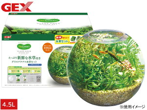 yXܓIPő20{11/1(y)zGEX MeGreen VNȐt OXANAXtBAZbg  W22×D22×H18cm 4.5L ȐԌnÂyސZbg 