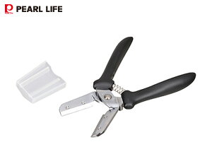 yXܓIPő20{11/1(y)z֗ INV \tgObv C-3809 N I̔ނ p[Ct p[