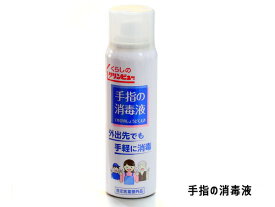 手指の消毒液 携帯 スプレー缶 ミスト 100ml お手軽 消毒 洗浄 ハンドスプレー 国産 安心 イチネンケミカルズ 025950