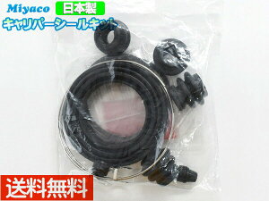 y11/11 1:59܂ŁGg[+wP5{zANA NHP10 tg Lp[V[Lbg ~R miyaco MP-110 [ 