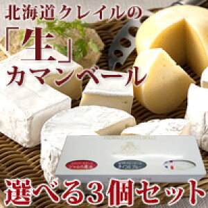 チーズ カマンベールチーズの通販 価格比較 価格 Com