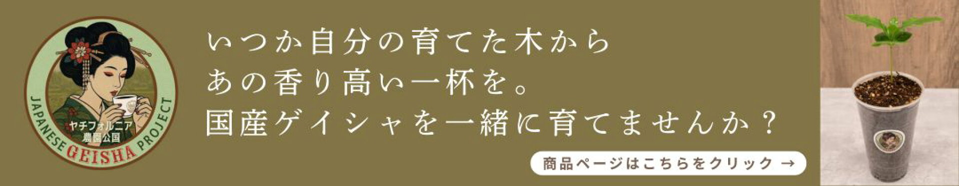 バナー大_ゲイシャ