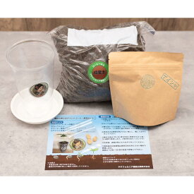 種から育てるゲイシャコーヒー「栽培セット」 　国産コーヒー 珈琲 プレミアム珈琲 コーヒー農園 家庭菜園