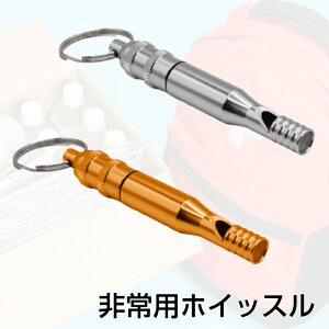 yBLACK FRIDAY聚ő500~OFFN[|zzzpzCbX J zCbX ً} SOS ~J p h h AEghA Lv nCLO hЃObY