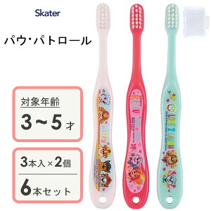 p uV (3{×2Zbg) pEEpg[ XP[^[ TB5ST / 6{Zbg 3`5˗p uV nuV p qp LbYp ǂp qǂp c 炩 Lbvt 