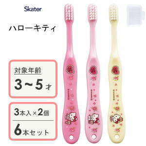 p uV (3{×2Zbg) n[LeB XP[^[ TB5ST / 6{Zbg 3`5˗p uV nuV p qp LbYp ǂp qǂp c 炩 Lbvt 킢