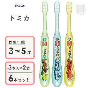 p NAuV (3{×2Zbg) g~J XP[^[ TB5SCT / 3`5˗p uV p qp LbY ǂp qǂp 炩 Lbvt RpNgwbh 킢 