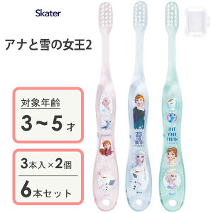 p NAuV (3{×2Zbg) AiƐ̏2 XP[^[ TB5SCT / 3`5˗p uV p qp LbY ǂp qǂp 炩 Lbvt RpNgwbh L