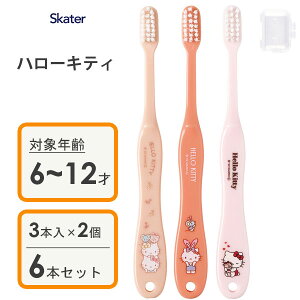 wp uV (3{×2Zbg) n[LeB XP[^[ TB6ST / 6{Zbg 6`12˗p qp LbYp ǂp qǂp 炩 Lbvt LN^[ 킢  