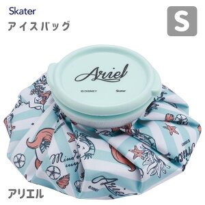 ACXobO (X̂) S AG23 XP[^[ ICB1 / XX X̂ ACXpbN ACVO p MǑ΍ ΍  X|[c LN^[ 킢    fBYj[