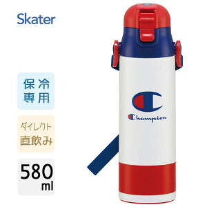 y _CNgXeX{g 580ml `sI XP[^[ SDC6N /  {g ۗp  qp LbYp vbV ^b` xgt 킢   