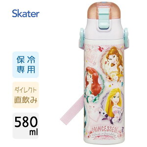 y _CNgXeX{g 580ml fBYj[vZX24 XP[^[ SDC6N /  {g ۗp  qp LbYp ^b` xgt 킢  Disney Vf