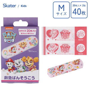 ~}o\ERE M (20×2Zbg) pEpg[ XP[^[ QQB1 / { Jnp ΂񂻂 40   PK LY   ~} LbYp ǂp qp qǂp  c 