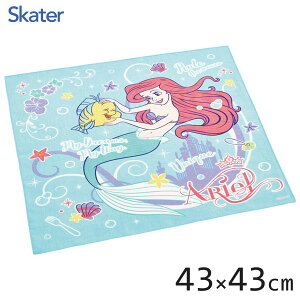 `NX (43×43cm) AG24 XP[^[ KB4 / { `ObY ٓ C~ NX `}bg nJ` LbYp qǂp qp ǂp 킢   