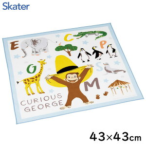 `NX (43×43cm) ̃W[W ZOO XP[^[ KB4 / { `ObY ٓ C~ NX `}bg nJ` LbYp qp qǂp 킢  JC