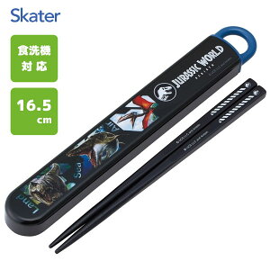 XChZbg 16.5cm WVbNE[h o[X XP[^[ ABS2AM / { H@Ή  P[Xt qǂp ǂp LbYp qp  ct 킢  