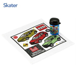 ڂZbg g~J26 XP[^[ OA4 / nJ` nh^I @ ڂP[X ڂ `ObY ct  ^  qp LbYp ǂp qǂp 킢