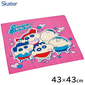 `NX (43×43cm) N񂿂25 XP[^[ KB4 / { `ObY ٓ C~ NX `}bg nJ` LbYp qp 킢 Vv LN^[ s